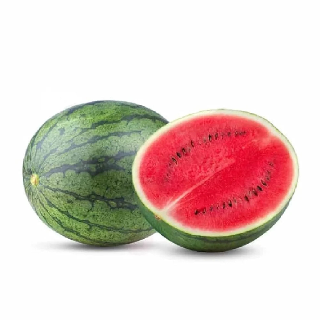 Organic Watermelon Exports in Solan | Trimurti Exports